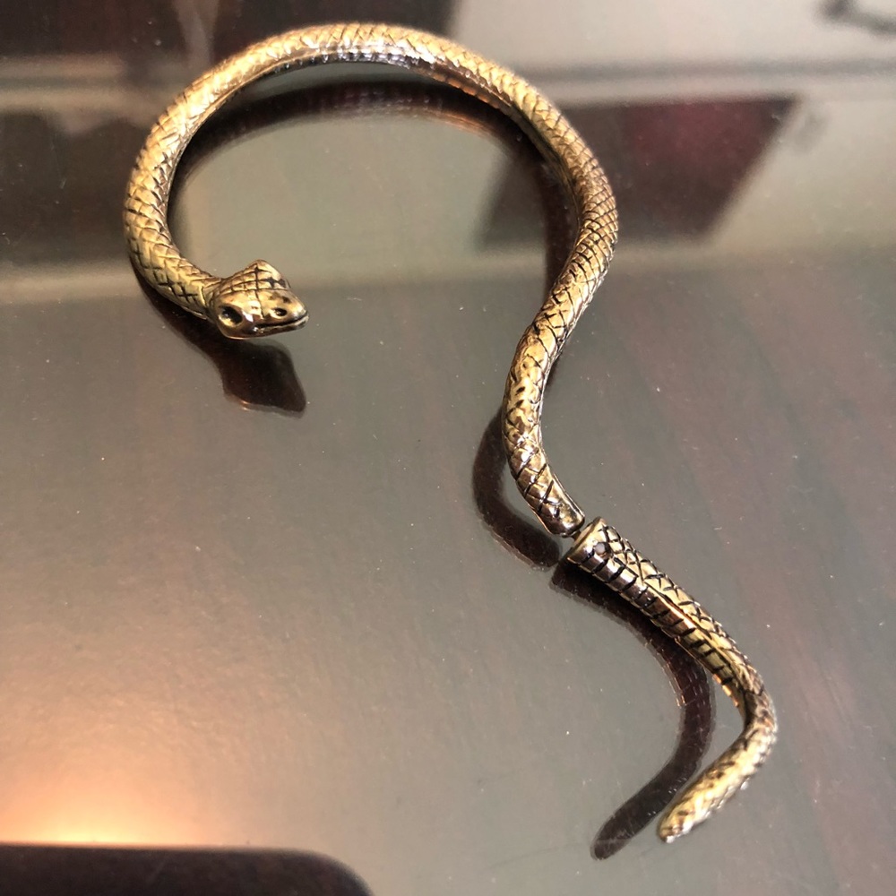 Snake ear wrap